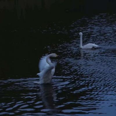 博盈体育软件下载官网